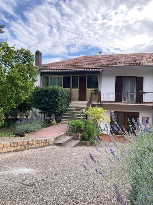 Casa Sisu-Appartamento Immerso Negli Ulivi SantʼElia Fiumerapido Exterior foto