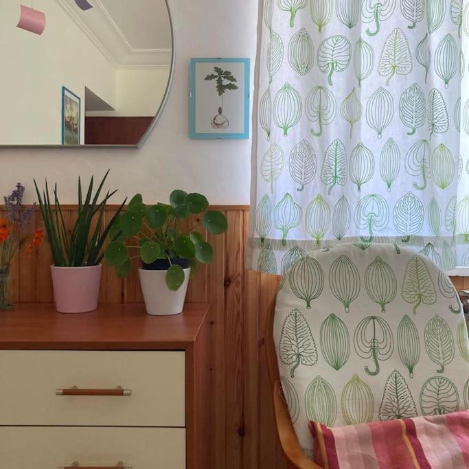 Casa Sisu-Appartamento Immerso Negli Ulivi SantʼElia Fiumerapido Exterior foto